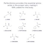 BodyHealth PerfectAmino Tablets for Muscle Recovery