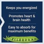 BioActive Complete B-Complex for Energy and Support