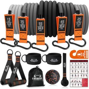 175lb Resistance Bands with Handles and Accessories