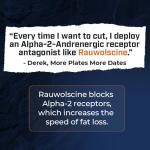 Jitter-Free Thermogenic Supplement for Men