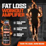 ALPHA LION Burn2O L-Carnitine Liquid Fat Burner