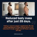 Jitter-Free Thermogenic Supplement for Men