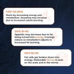 Jitter-Free Thermogenic Supplement for Men