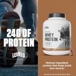 Levels 100% Grass Fed Whey Protein, No GMOs, Pure Chocolate, 5LB