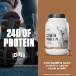 Levels Micellar Casein Protein, Chocolate, 2LB