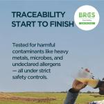 Myprotein Impact Whey Protein Powder - Chocolate Milkshake