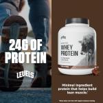 Levels Grass Fed 100% Whey Protein, No Hormones, Chocolate Mocha, 5LB