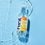 Hint Water Pineapple (Pack of 12), 16 Ounce Bottles, Pure Water Infused with Pineapple, Zero Sugar, Zero Calories, Zero Sweeteners, Zero Preservatives, Zero Artificial Flavors