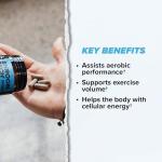 ONNIT Shroom TECH Sport (28ct) | All Natural Pre-Workout Supplement with Ashwagandha, Cordyceps Mushroom, and Rhodiola Rosea