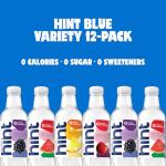 Hint Fruit Infused Water, Variety Pack, Cherry, Watermelon, Pineapple, Blackberry, 16 oz (12 Pack)