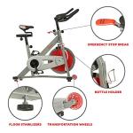 Sunny Health & Fitness Pro II Indoor Bike