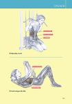 Women's Strength Training Anatomy Workouts by Delavier