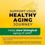 Nature Made Vitamin D3 2000 IU, 250 Softgels