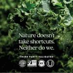 New Chapter Women's 40+ Multivitamin for Energy