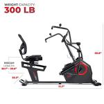 Sunny Recumbent Elliptical Bike with Arm Exercisers