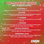 EVL Intense Pre Workout Drink - Cherry Limeade