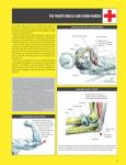 Strength Training Anatomy Guide
