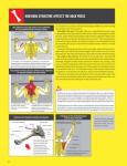 Strength Training Anatomy Guide