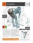 Strength Training Anatomy Guide