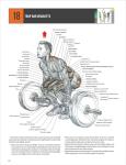 Strength Training Anatomy Guide