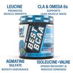 BPI Sports Best BCAA Powder - Blue Raspberry