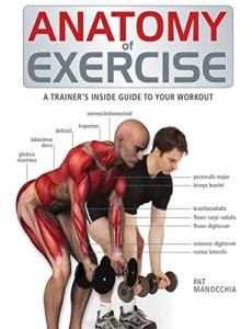 Anatomy of Exercise: Your Ultimate Workout Guide