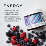 Kion Aminos Essential Amino Acid Powder - Cool Lime