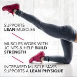 Pure Protein Chocolate Peanut Caramel Bars - 20g Protein