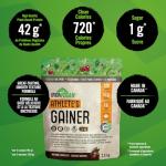 IRONVEGAN Gainer Chocolate Protein Powder, 2500 GR