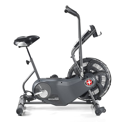 Schwinn Fitness AD6 Airdyne Bike