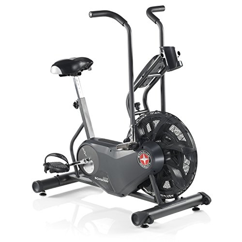Schwinn Fitness AD6 Airdyne Bike