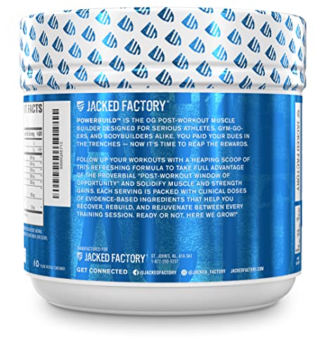 POWERBUILD Clinically-Dosed Post Workout Recovery & Muscle Building Supplement - Boost Muscle Growth, Recovery, & Strength - Creatine, Glutamine, & 5 More Powerful Ingredients - Mixed Berry Blast 17.6 oz