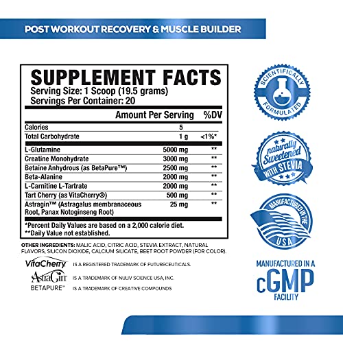 POWERBUILD Clinically-Dosed Post Workout Recovery & Muscle Building Supplement - Boost Muscle Growth, Recovery, & Strength - Creatine, Glutamine, & 5 More Powerful Ingredients - Mixed Berry Blast 17.6 oz
