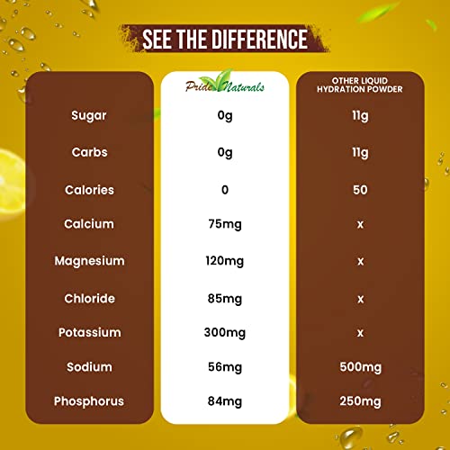 Electrolyte Powder - Refreshing Pre & Post Workout Recovery Electrolytes, All Natural, Sugar Free, Gluten Free & Vegan, Pure Keto & Paleo Hydration Beverage Mix, Immune Boosting Vitamins & Minerals