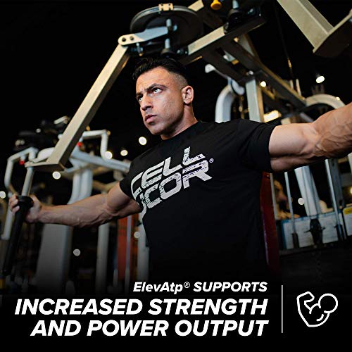Cellucor P6 Ultimate GH Testosterone Booster for Men, Growth Hormone Support Pills for Protein Synthesis & Fat Metabolism, 180 Capsules