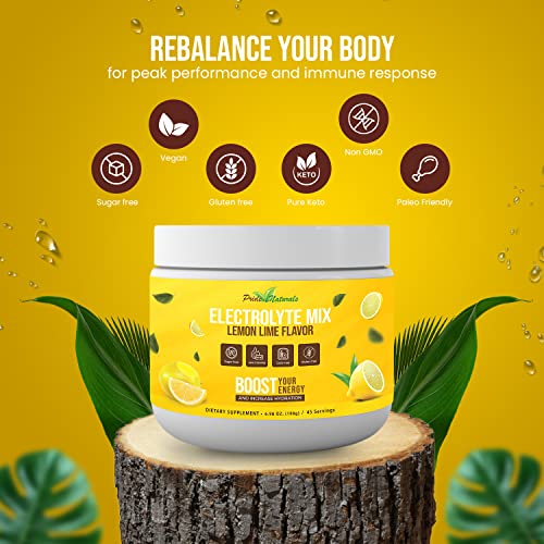 Electrolyte Powder - Refreshing Pre & Post Workout Recovery Electrolytes, All Natural, Sugar Free, Gluten Free & Vegan, Pure Keto & Paleo Hydration Beverage Mix, Immune Boosting Vitamins & Minerals