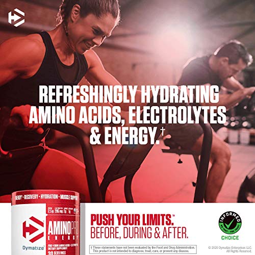Dymatize Amino Pro Endurance Amplifier Powder