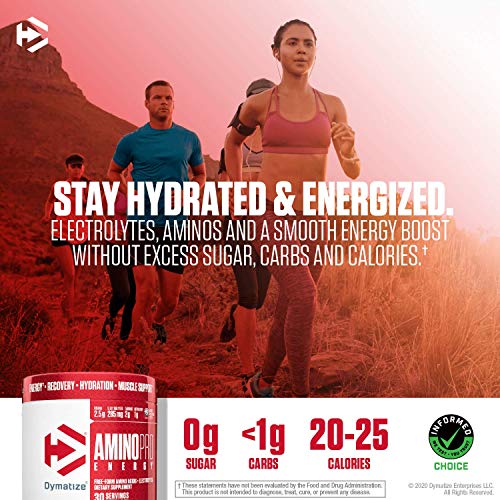 Dymatize Amino Pro Endurance Amplifier Powder