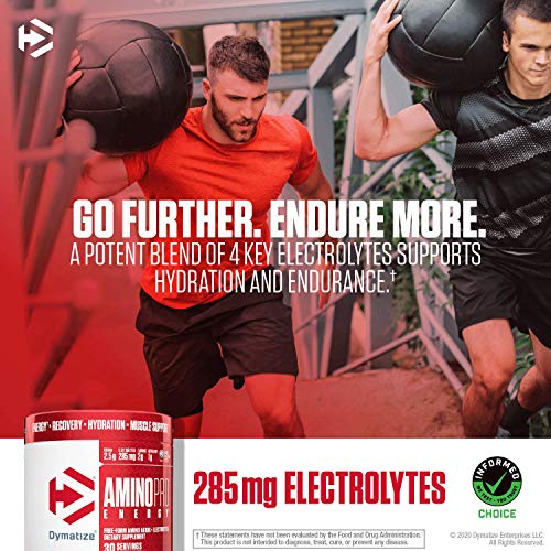 Dymatize Amino Pro Endurance Amplifier Powder
