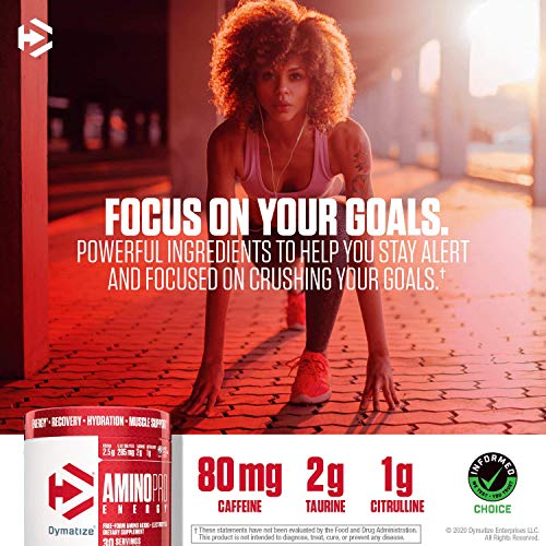 Dymatize Amino Pro Endurance Amplifier Powder