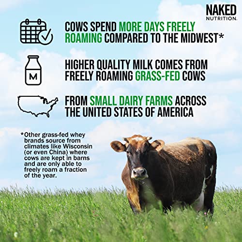 NAKED MASS - All Natural Weight Gainer Protein Powder - 8lb Bulk, GMO Free, Gluten Free & Soy Free. No Artificial Ingredients - 1,250 Calories - 11 Servings