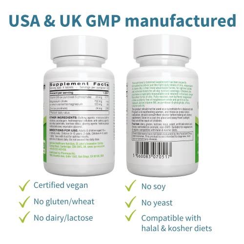 Neurobalance, High Absorption Zinc Magnesium B6 Supplement, Brain, Immune, Sleep & Muscle Recovery, Chelated Zinc Picolinate 24mg, Oxide-Free Magnesium & Vitamin B6, Vegan, by Igennus