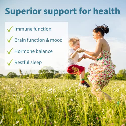 Neurobalance, High Absorption Zinc Magnesium B6 Supplement, Brain, Immune, Sleep & Muscle Recovery, Chelated Zinc Picolinate 24mg, Oxide-Free Magnesium & Vitamin B6, Vegan, by Igennus