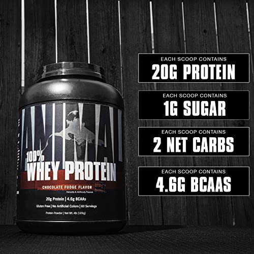 Animal Whey Protein Powder - Chocolate, 4 lb