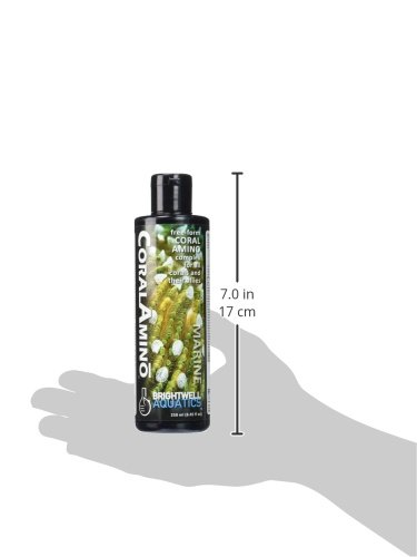 Brightwell Aquatics CoralAmino - Amino Acid Complex for Coral Coloration & Growth