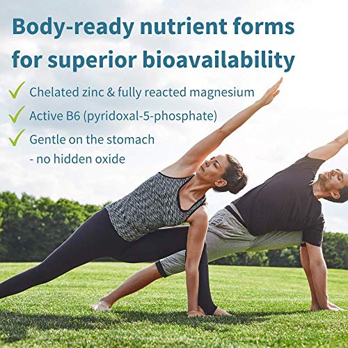 Neurobalance, High Absorption Zinc Magnesium B6 Supplement, Brain, Immune, Sleep & Muscle Recovery, Chelated Zinc Picolinate 24mg, Oxide-Free Magnesium & Vitamin B6, 240 Count, Vegan, by Igennus