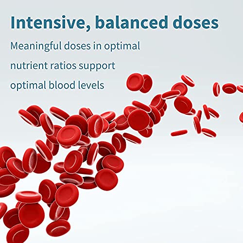 Neurobalance, High Absorption Zinc Magnesium B6 Supplement, Brain, Immune, Sleep & Muscle Recovery, Chelated Zinc Picolinate 24mg, Oxide-Free Magnesium & Vitamin B6, 240 Count, Vegan, by Igennus