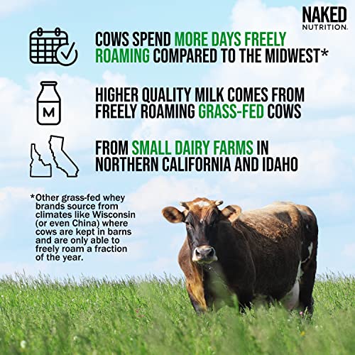 Naked WHEY 1LB 100% Grass Fed Unflavored Whey Protein Powder - US Farms, Only 1 Ingredient, Undenatured - No GMO, Soy or Gluten - No Preservatives - Promote Muscle Growth and Recovery - 15 Servings