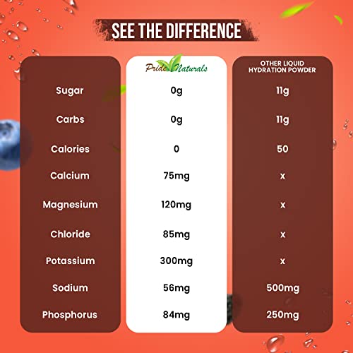 Pride Naturals Electrolyte Powder, No Sugar Hydration Drink for Energy and Immune Support, Sugar Free Keto Electrolytes Powder with Vitamin C, Calcium, Potassium, Zinc (198g, Berry)