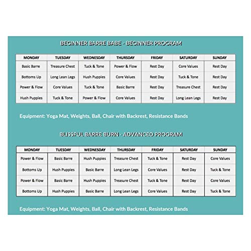 Blissful Barre Workout DVD: 8 Workouts for Women